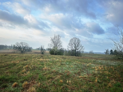 Large Country Home Ash Flat AR for Sale - image 14