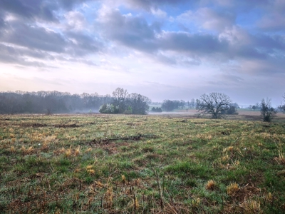 Large Country Home Ash Flat AR for Sale - image 13