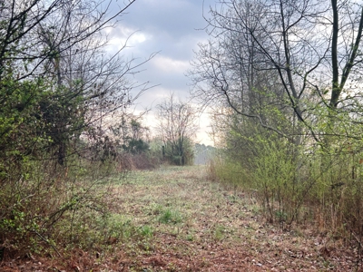 Large Country Home Ash Flat AR for Sale - image 10
