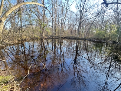 Large Country Home Ash Flat AR for Sale - image 49