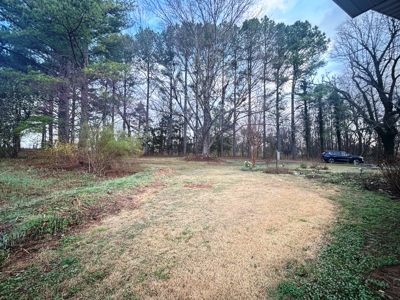 Large Country Home Ash Flat AR for Sale - image 19