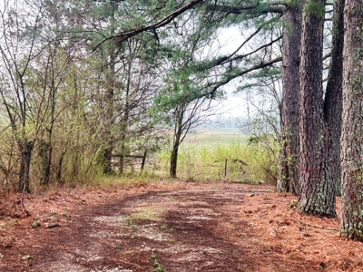Large Country Home Ash Flat AR for Sale - image 11