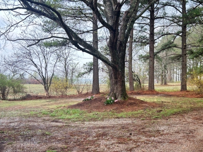 Large Country Home Ash Flat AR for Sale - image 2