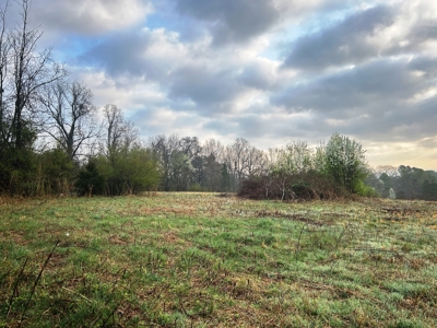 Large Country Home Ash Flat AR for Sale - image 12