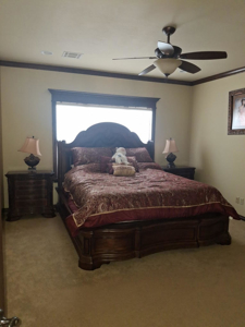 Luxury Country Home on 5.71 acres mol - image 20