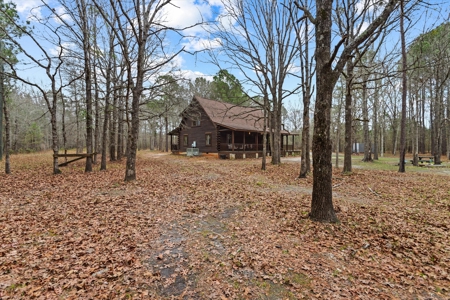 Cabin For Sale - 40 Acres - 2 Parcels - - image 5