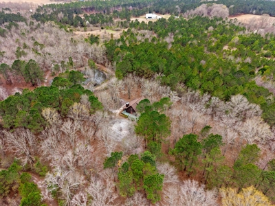 Cabin For Sale - 40 Acres - 2 Parcels - - image 44