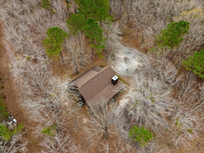 Cabin For Sale - 40 Acres - 2 Parcels - - image 45