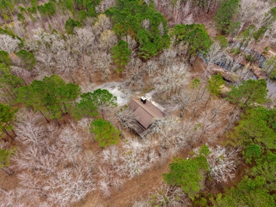 Cabin For Sale - 40 Acres - 2 Parcels - - image 47