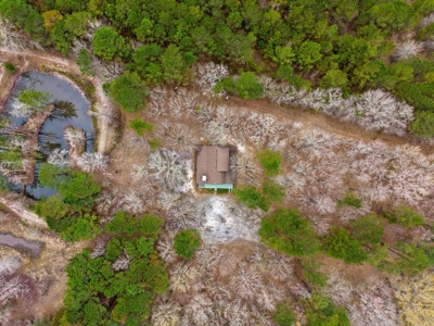 Cabin For Sale - 40 Acres - 2 Parcels - - image 40