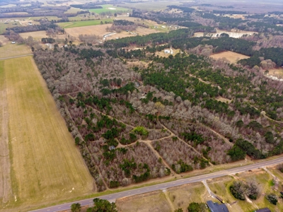 Cabin For Sale - 40 Acres - 2 Parcels - - image 37