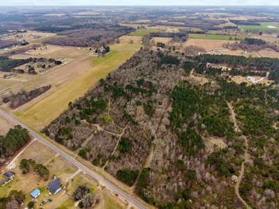 Cabin For Sale - 40 Acres - 2 Parcels - - image 39
