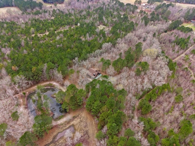 Cabin For Sale - 40 Acres - 2 Parcels - - image 36