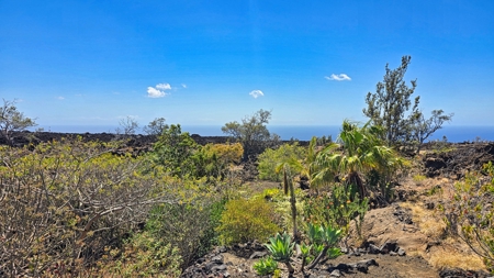 Turn‑Key Kula Kai Gated Home with Coastline Views on Hawaiʻi - image 26