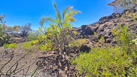 Turn‑Key Kula Kai Gated Home with Coastline Views on Hawaiʻi - image 31