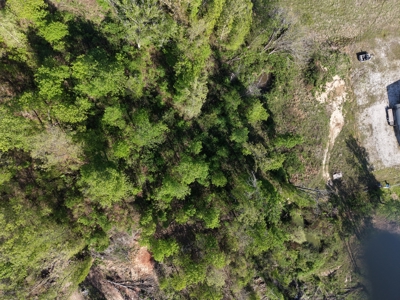 Property For Sale in Hickory County, Missouri - image 30