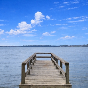 Build Your Dream Home on the Golf Course with Lake Houston access - image 9