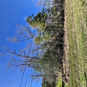 Build Your Dream Home on the Golf Course with Lake Houston access - image 2