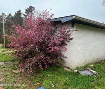 Great Investment and Income Producing Property Brookhaven, MS - image 9