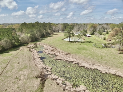 Country Home & 42acres Graceville Florida - Jackson County FL - image 35