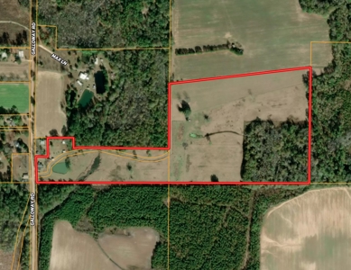 Country Home & 42acres Graceville Florida - Jackson County FL - image 4