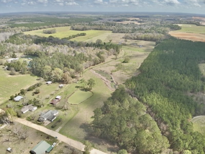 Country Home & 42acres Graceville Florida - Jackson County FL - image 29