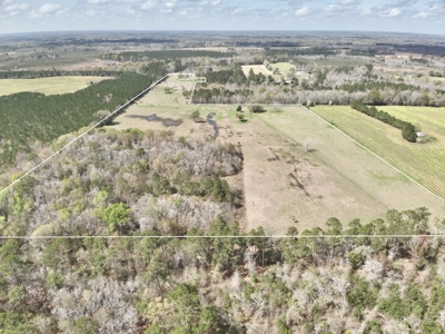 Country Home & 42acres Graceville Florida - Jackson County FL - image 32