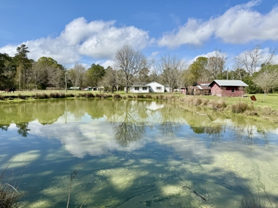 Country Home & 42acres Graceville Florida - Jackson County FL - image 5