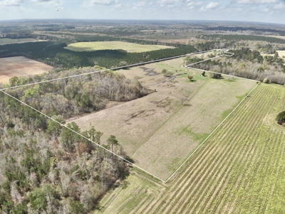 Country Home & 42acres Graceville Florida - Jackson County FL - image 6