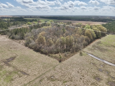 Country Home & 42acres Graceville Florida - Jackson County FL - image 33