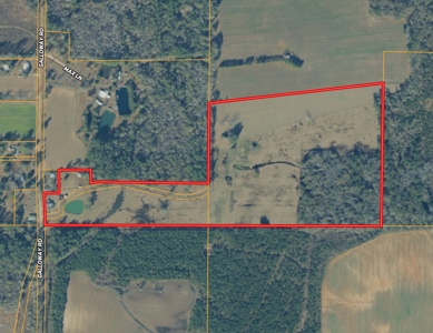 Country Home & 42acres Graceville Florida - Jackson County FL - image 45