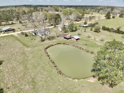 Country Home & 42acres Graceville Florida - Jackson County FL - image 3