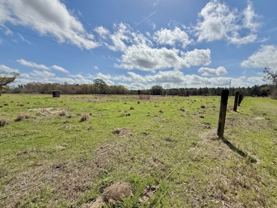 Country Home & 42acres Graceville Florida - Jackson County FL - image 27