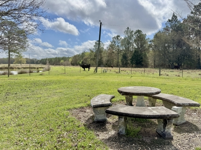 Country Home & 42acres Graceville Florida - Jackson County FL - image 44