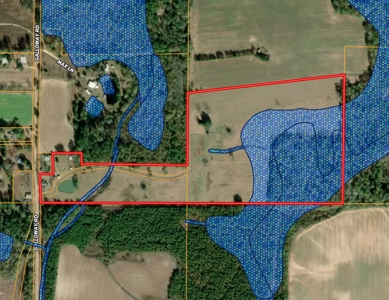 Country Home & 42acres Graceville Florida - Jackson County FL - image 47