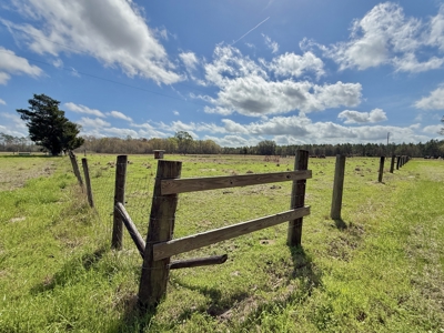 Country Home & 42acres Graceville Florida - Jackson County FL - image 26