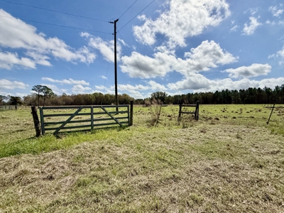 Country Home & 42acres Graceville Florida - Jackson County FL - image 28