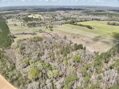 Country Home & 42acres Graceville Florida - Jackson County FL - image 31