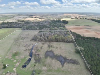 Country Home & 42acres Graceville Florida - Jackson County FL - image 30