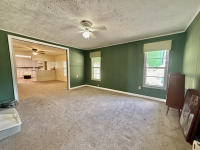 Country Home & 42acres Graceville Florida - Jackson County FL - image 9