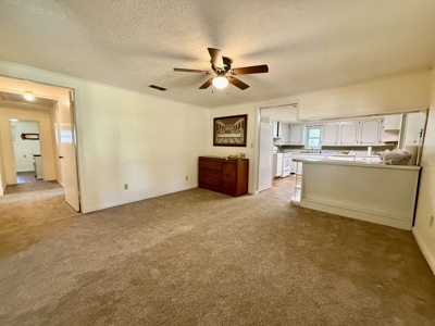 Country Home & 42acres Graceville Florida - Jackson County FL - image 10