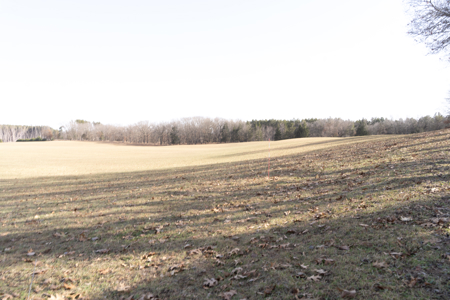 95+/- Acres located in Marquette and Green Lake Counties For Sale - image 30