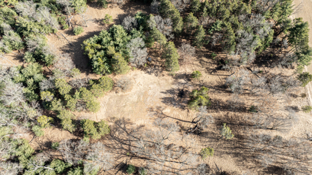 95+/- Acres located in Marquette and Green Lake Counties For Sale - image 20