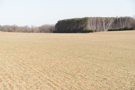 95+/- Acres located in Marquette and Green Lake Counties For Sale - image 16