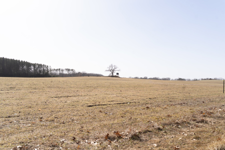 95+/- Acres located in Marquette and Green Lake Counties For Sale - image 24