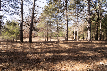 95+/- Acres located in Marquette and Green Lake Counties For Sale - image 23