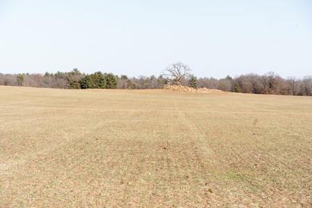 95+/- Acres located in Marquette and Green Lake Counties For Sale - image 14