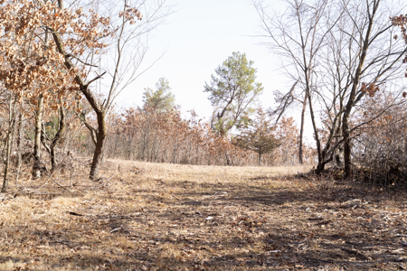 95+/- Acres located in Marquette and Green Lake Counties For Sale - image 29