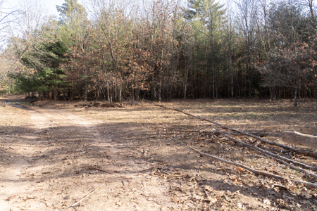 95+/- Acres located in Marquette and Green Lake Counties For Sale - image 25