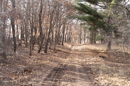 95+/- Acres located in Marquette and Green Lake Counties For Sale - image 28